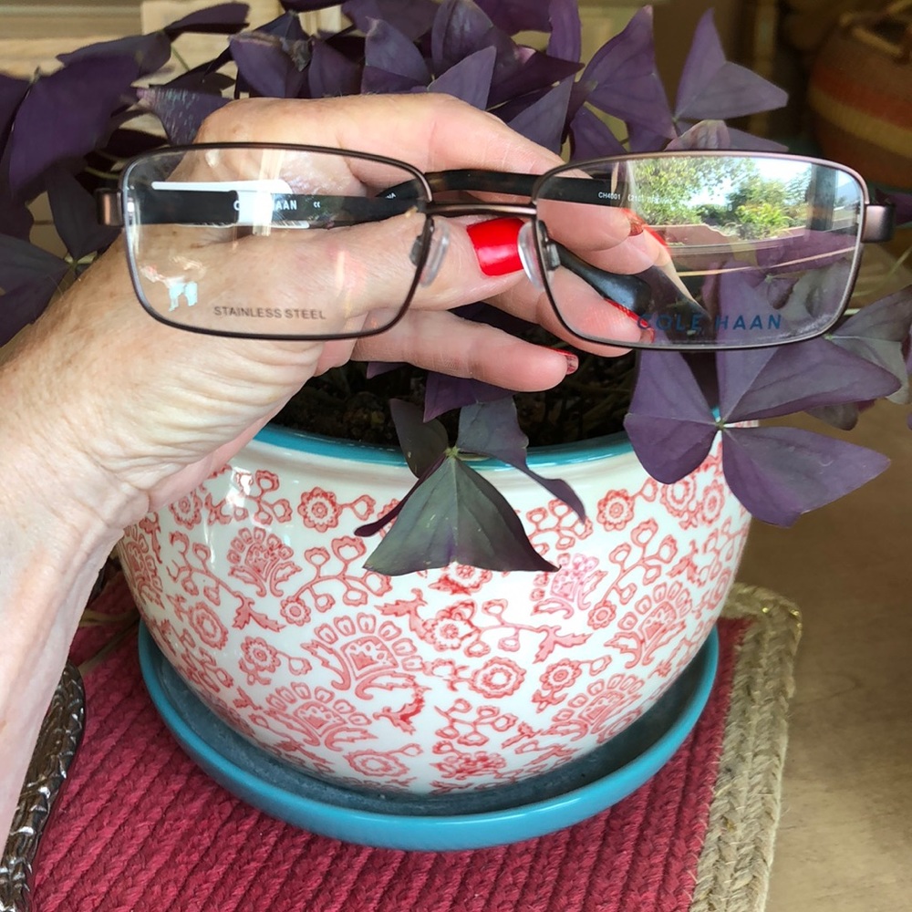 Eye Glasses